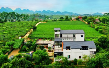 Mộc Châu Cottage Homestay- Top homestay có view đẹp nhất Mộc Châu